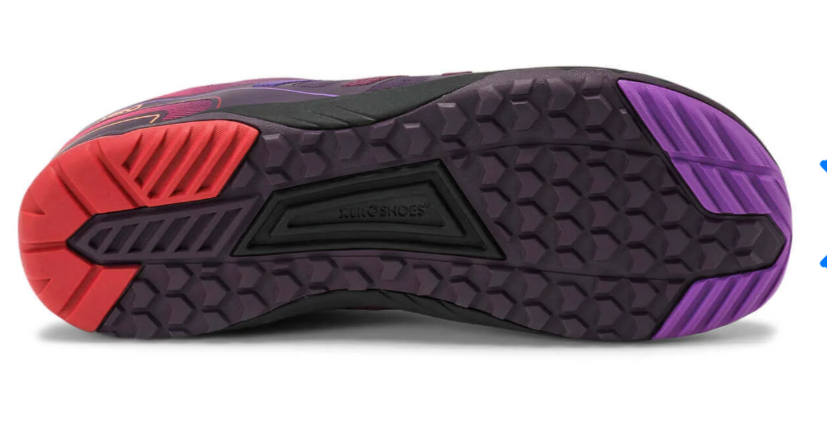 Xero shoes HFSII lightweight Road Runner gradient purple