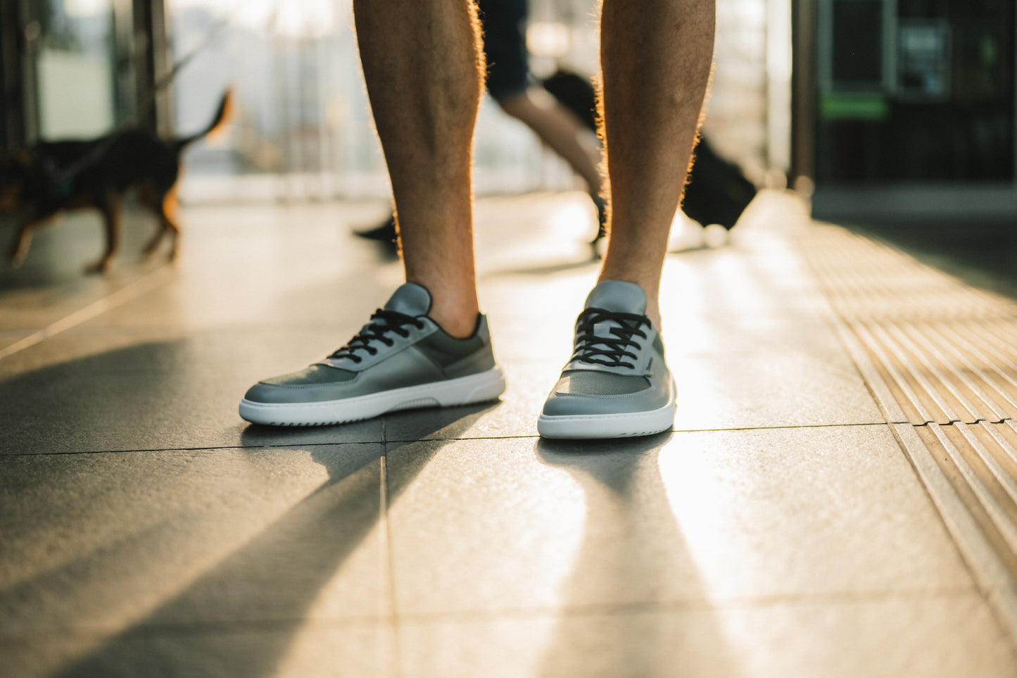 Barefoot Sneakers Barebarics Bravo - Grey & White