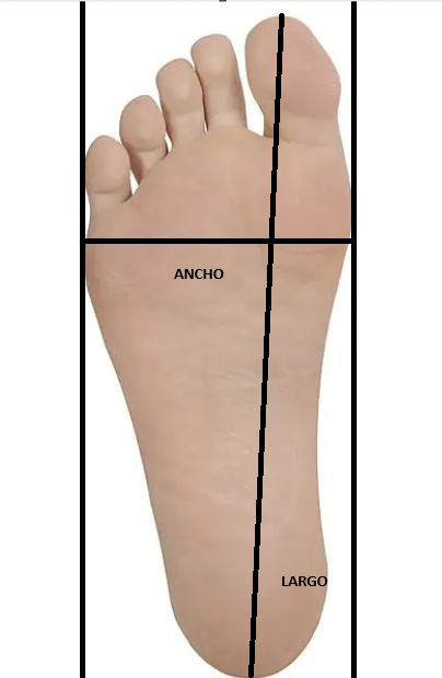 How to measure your foot and know if it is a narrow foot, a medium foo ...